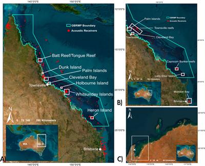Trophic ecology shapes spatial ecology of two sympatric predators, the great hammerhead shark (Sphyrna mokarran) and bull shark (Carcharhinus leucas)